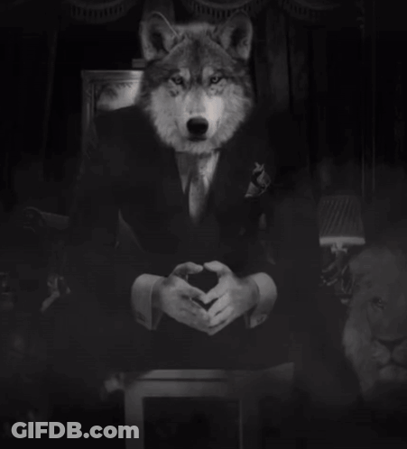 A Man In A Suit Sits With His Hands Folded In Front Of A Lion GIF