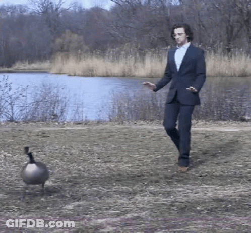 A Man In A Suit Walking Next To A Goose Near A Lake GIF