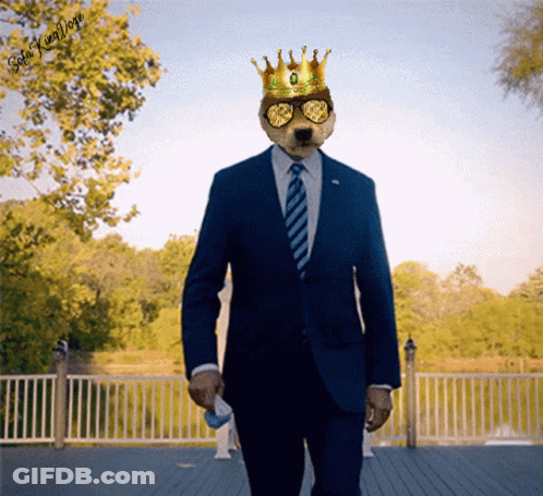 A Man In A Suit With A Dog 'S Head And A Crown On It GIF