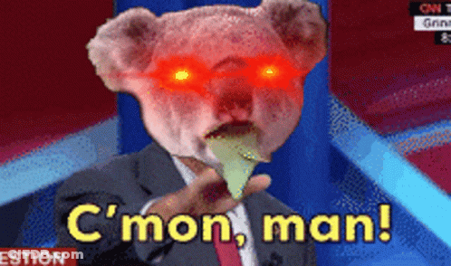 A Man In A Suit With A Koala Bear On His Head Says C Mon Man GIF