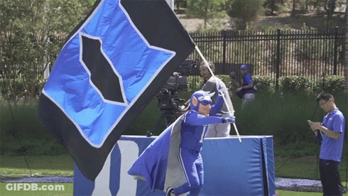 A Man In A Superhero Costume Holds A Blue And Black Flag With A Cat On It GIF
