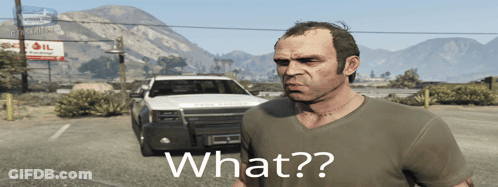 A Man In A Video Game Says " What " GIF