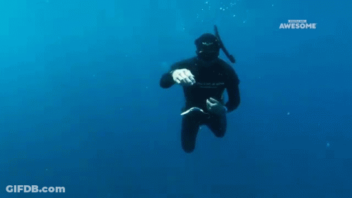 A Man In A Wetsuit Is Swimming In The Ocean With The Words Awesome On The Bottom Of The Screen GIF