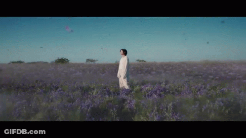 A Man In A White Dress Is Standing In A Field Of Purple Flowers . GIF