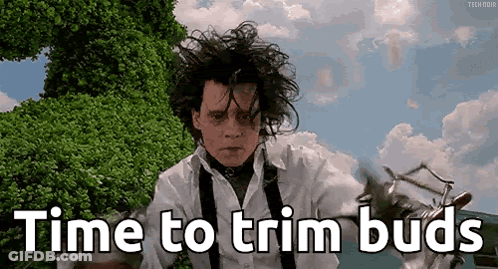 A Man In A White Shirt And Suspenders Is Holding Scissors And Says `` Time To Trim Buds '' . GIF