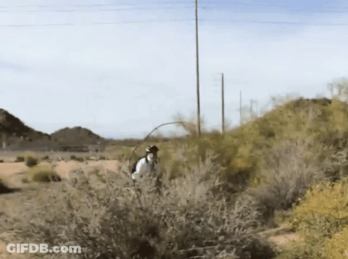 A Man In A White Shirt Is Fishing In A Field GIF