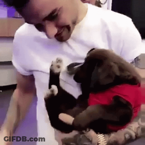 A Man In A White Shirt Is Holding A Puppy Wearing A Red Shirt GIF