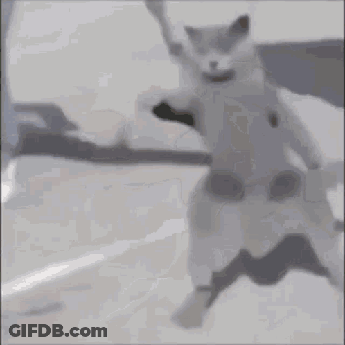 A Man In A White Shirt With A Picture Of A Bear Stands Next To A Dog GIF