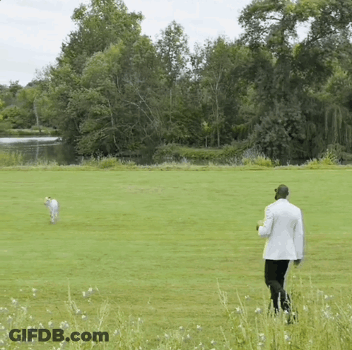 A Man In A White Suit Is Walking A Dog In A Field GIF