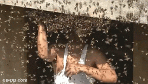 A Man In A White Tank Top Is Surrounded By A Flock Of Bees . GIF