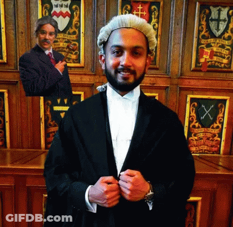 A Man In A Wig Is Standing In Front Of A Coat Of Arms GIF