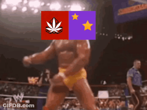 A Man In A Wrestling Ring With A Marijuana Leaf And Two Stars On His Chest GIF