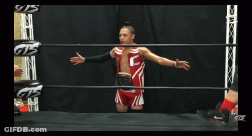 A Man In A Wrestling Ring With Gts Gloves On His Hands GIF