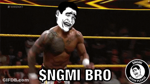 A Man In A Wrestling Ring With The Words Sngmi Bro On The Bottom GIF