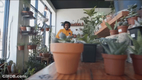 A Man In A Yellow Hoodie Stands In Front Of Potted Plants In A Store GIF