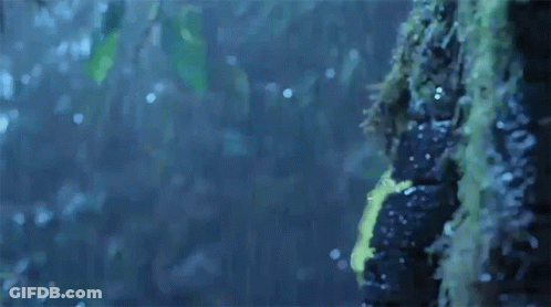 A Man In A Yellow Raincoat Is Standing In The Rain . GIF