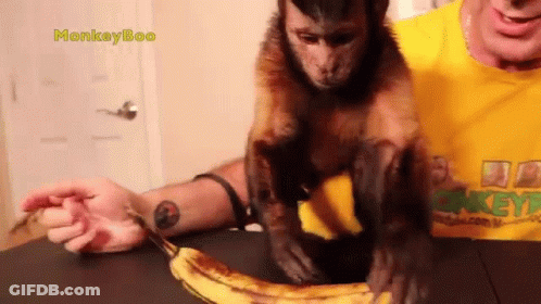 A Man In A Yellow Shirt With Monkey Boo Written On It GIF