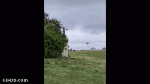 A Man In A Yellow Suit Is Standing In A Field . GIF