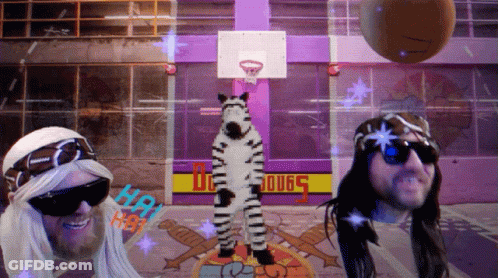 A Man In A Zebra Costume Stands In Front Of A Basketball Hoop And A Sign That Says Dc 006 5 GIF
