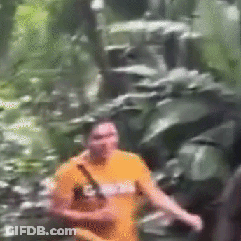 A Man In An Orange Shirt Is Walking Through A Forest GIF