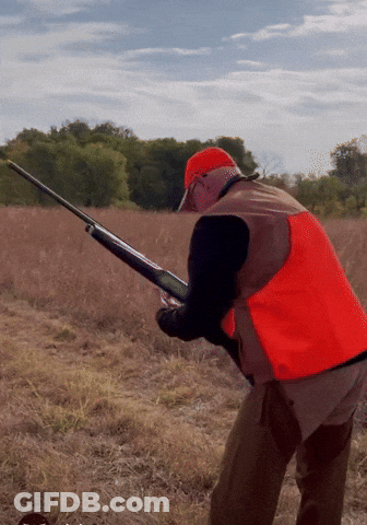 A Man In An Orange Vest Is Holding A Rifle In A Field GIF