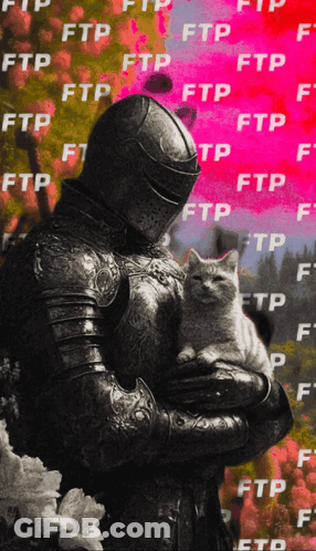 A Man In Armor Holds A Cat In Front Of A Pink Background That Says Ftp GIF