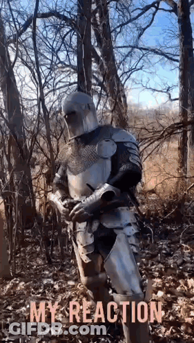 A Man In Armor Is Standing In The Woods With The Words `` My Reaction '' Written Below Him . GIF
