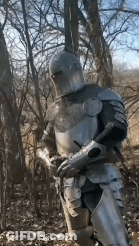 A Man In Armor Is Standing In The Woods With Trees In The Background GIF