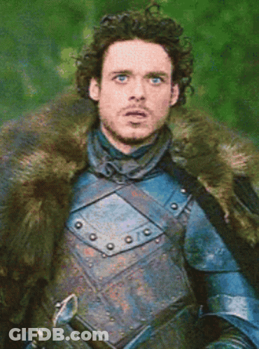 A Man In Armor With A Fur Collar GIF
