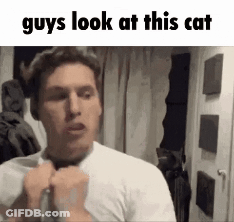 A Man Is Adjusting His Tie In Front Of A Mirror With The Words `` Guys Look At This Cat '' Written Above Him . GIF