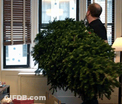 A Man Is Carrying A Christmas Tree In A Box GIF