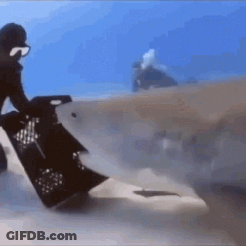 A Man Is Carrying A Crate Underwater While A Shark Is Swimming In The Water . GIF