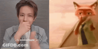 A Man Is Covering His Mouth In Front Of A Picture Of A Fox . GIF