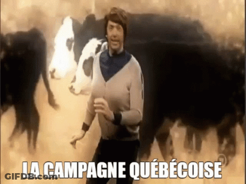A Man Is Dancing In Front Of A Herd Of Cows In A Field . GIF
