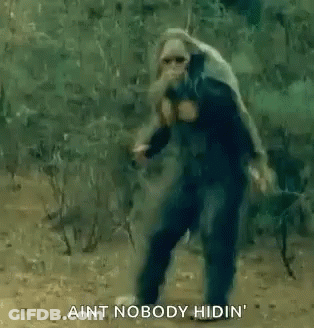 A Man Is Dancing In The Woods With The Words `` Ain 'T Nobody Hiding '' Written On The Bottom Of The Image GIF