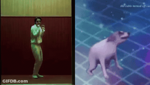 A Man Is Dancing Next To A Dog In A Video GIF