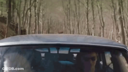 A Man Is Driving A Car Through A Forest GIF