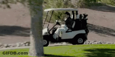 A Man Is Driving A Golf Cart On A Golf Course With A Tree In The Foreground . GIF