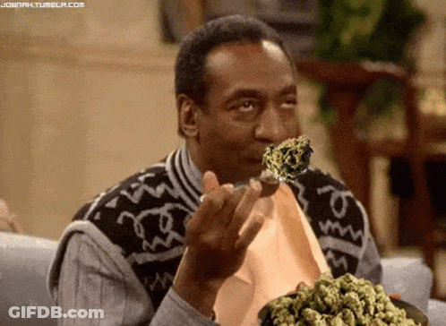 A Man Is Eating A Piece Of Marijuana With A Fork . GIF