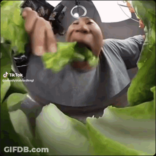 A Man Is Eating Lettuce With A Tiktok Hashtag GIF