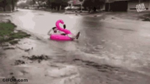 A Man Is Floating On A Pink Flamingo Float In The Water . GIF