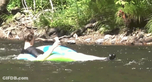 A Man Is Floating On A Tube In The Water GIF
