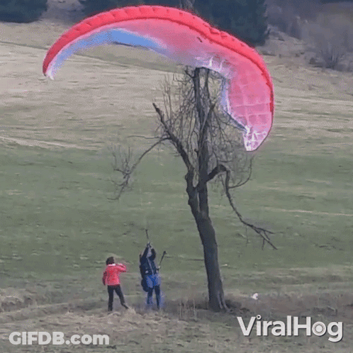 A Man Is Flying A Parachute Over A Tree In A Field With Viralhog Written On The Bottom GIF