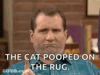 Man Giving Thumbs Up And Saying The Cat Pooped On The Rug GIF
