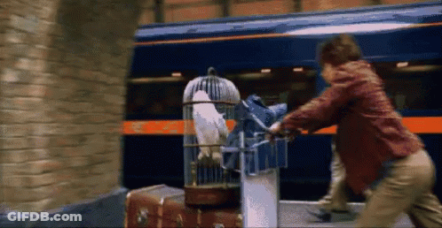A Man Is Holding A Bird In A Cage In Front Of A Train .. GIF