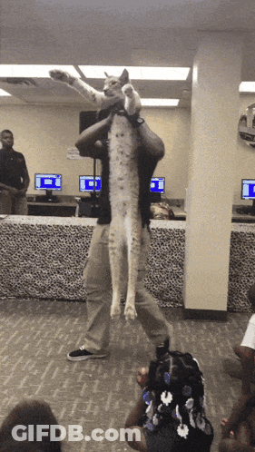 A Man Is Holding A Cat On His Shoulders In Front Of A Crowd Of People GIF