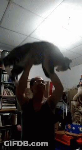 A Man Is Holding A Cat Over His Head GIF