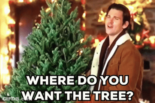 A Man Is Holding A Christmas Tree And Asking Where Do You Want The Tree ? GIF