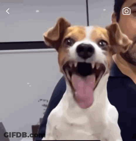 A Man Is Holding A Dog With Its Tongue Hanging Out And It Is Smiling . GIF