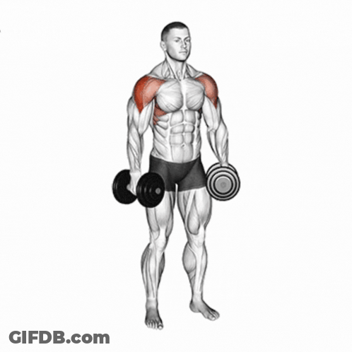 A Man Is Holding A Dumbbell Over His Right Shoulder GIF